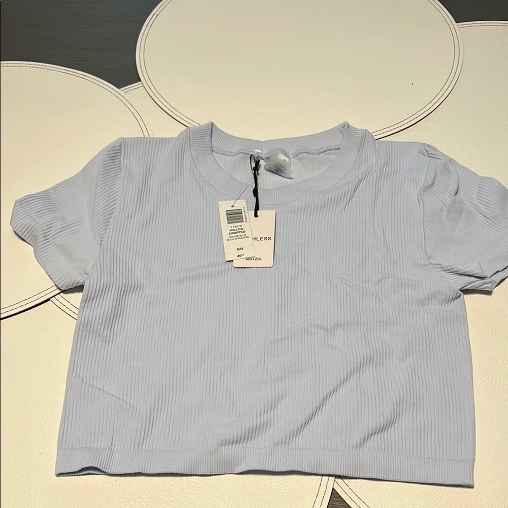 Aritzia Blue Polo Crop T-Shirt